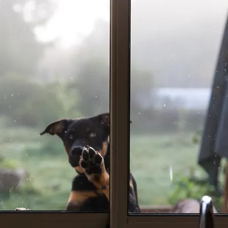 La Dorepontaise Yourte Mongole Pondaurat