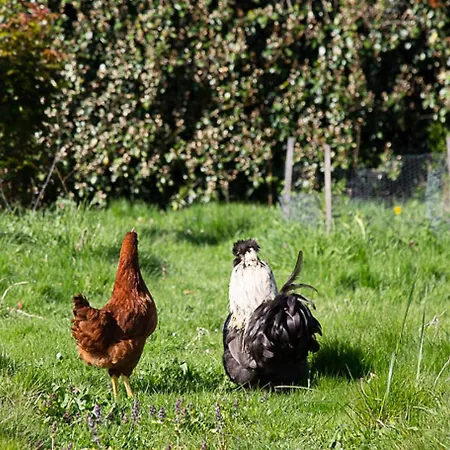 Luxuszelt La Dorepontaise Yourte Mongole Pondaurat