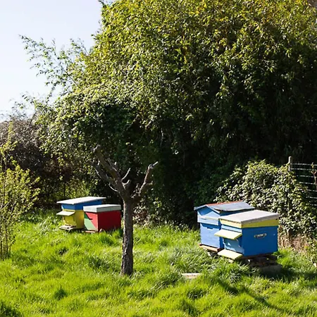 La Dorepontaise Yourte Mongole Pondaurat