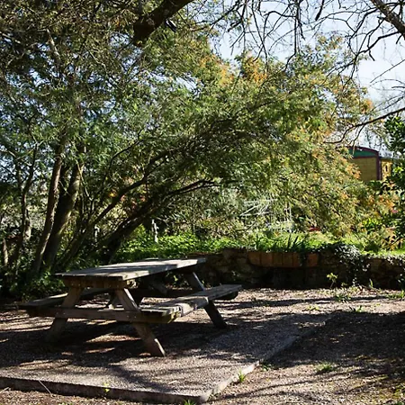 La Dorepontaise Yourte Mongole Luxuszelt