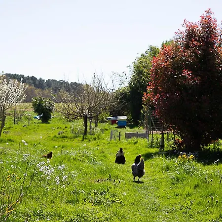 La Dorepontaise Yourte Mongole Luxuszelt *