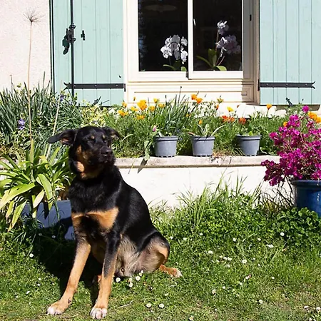 La Dorepontaise Yourte Mongole Pondaurat