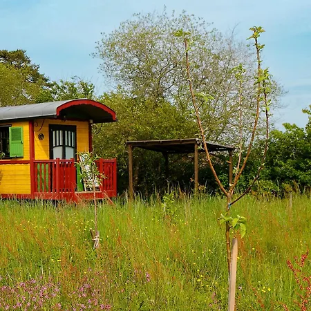 Luxury tent La Dorepontaise Yourte Mongole *