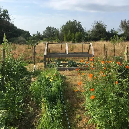 La Dorepontaise Yourte Mongole