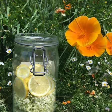 La Dorepontaise Yourte Mongole Pondaurat