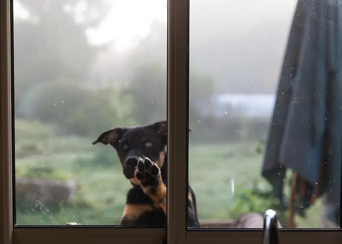 La Dorepontaise Yourte Mongole Pondaurat