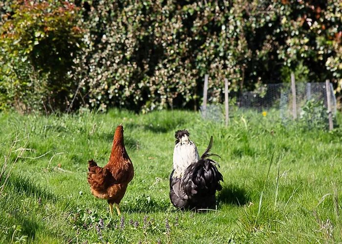 Οργανωμένο κάμπινγκ La Dorepontaise Yourte Mongole Pondaurat