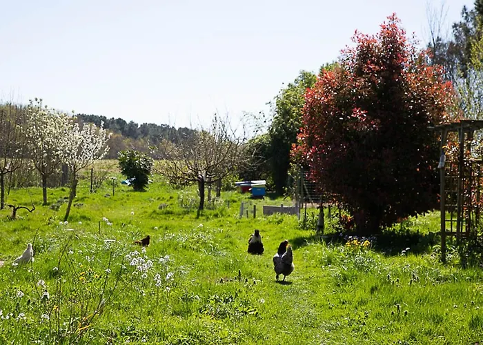 La Dorepontaise Yourte Mongole Οργανωμένο κάμπινγκ *