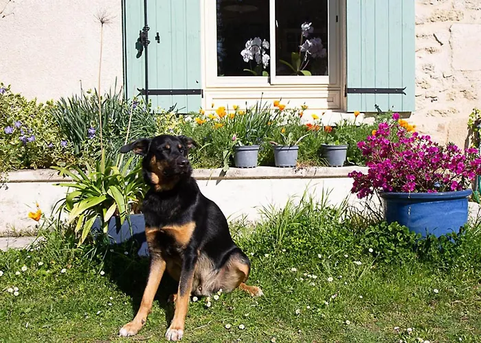 La Dorepontaise Yourte Mongole Pondaurat