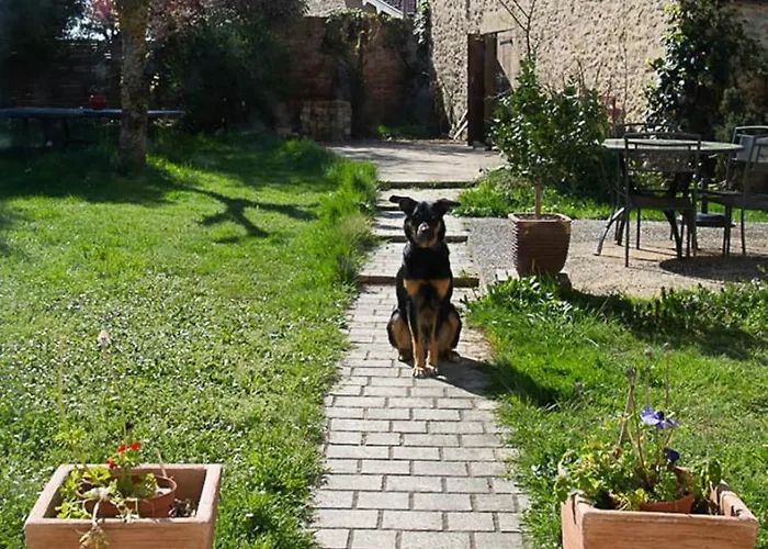 La Dorepontaise Yourte Mongole * Pondaurat