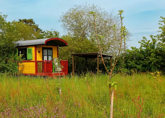 Οργανωμένο κάμπινγκ La Dorepontaise Yourte Mongole *