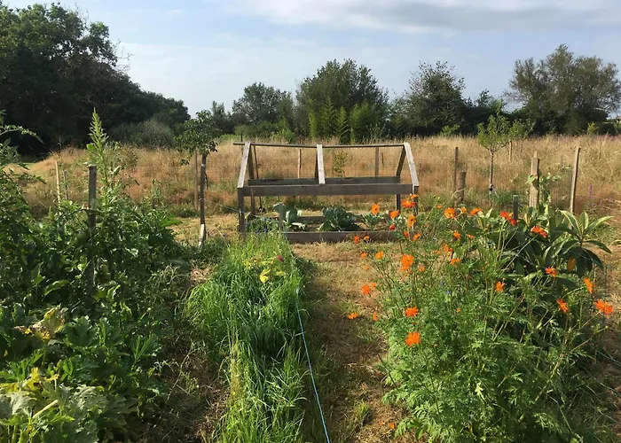 La Dorepontaise Yourte Mongole